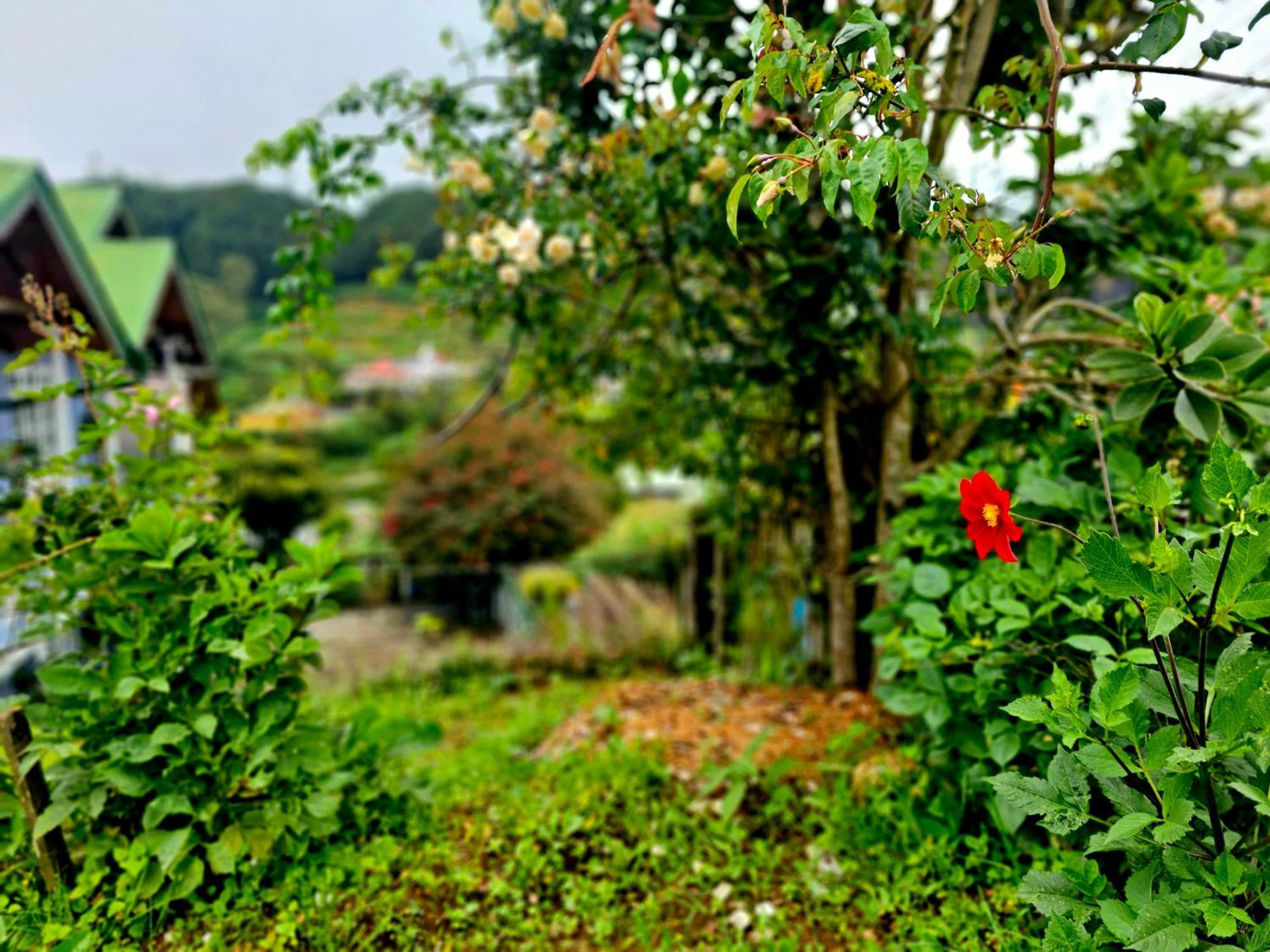 Haven Backpackers Vandrerhjem Nuwara Eliya Eksteriør bilde