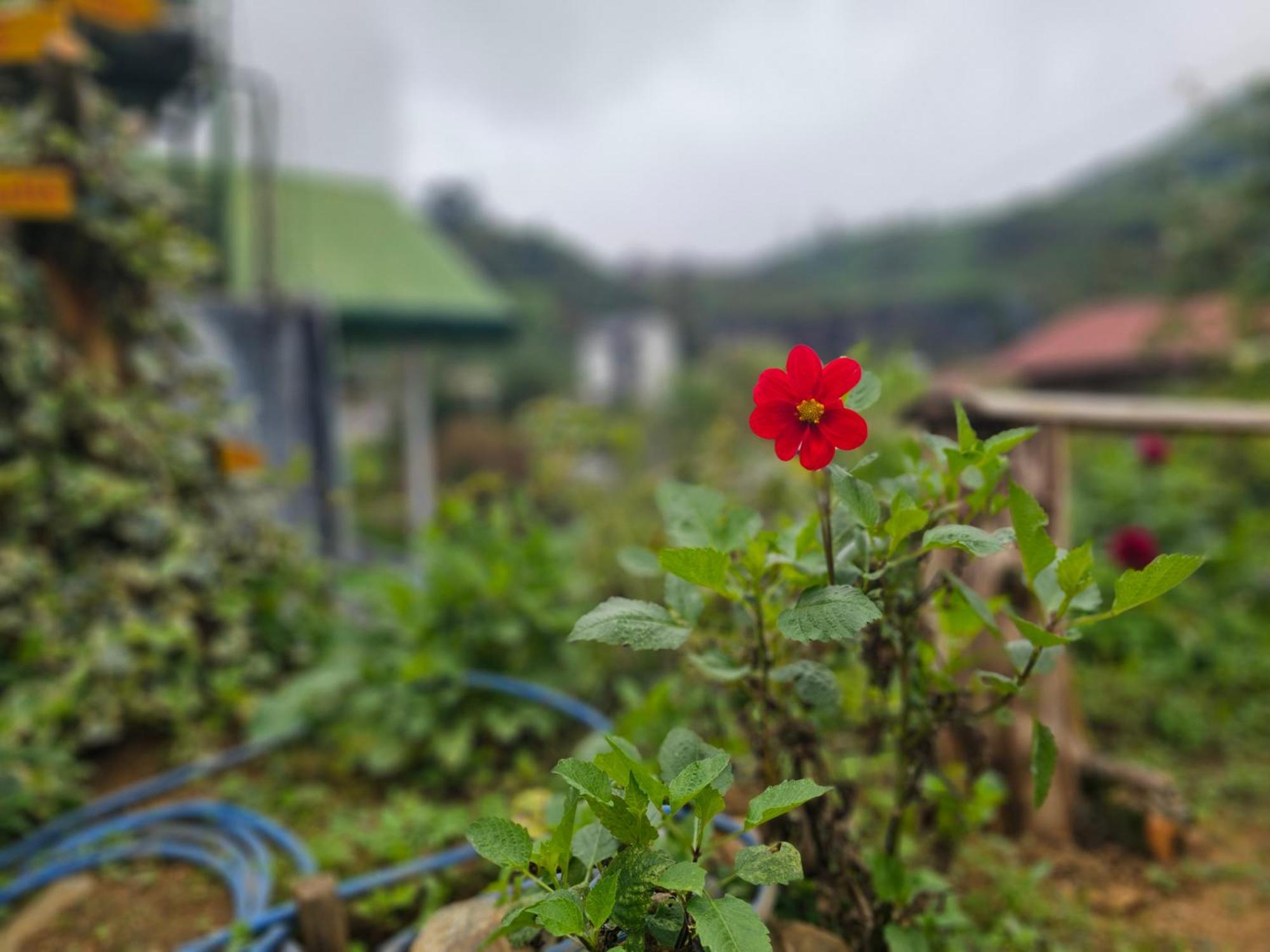Haven Backpackers Vandrerhjem Nuwara Eliya Eksteriør bilde