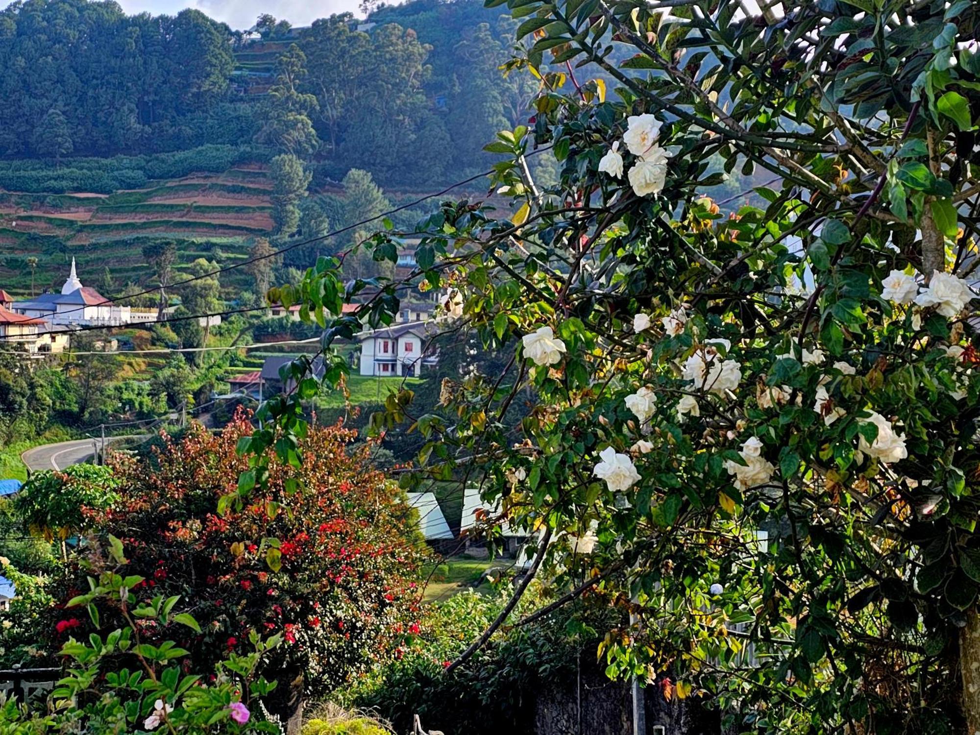 Haven Backpackers Vandrerhjem Nuwara Eliya Eksteriør bilde